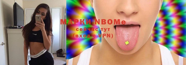 крисы Каменка